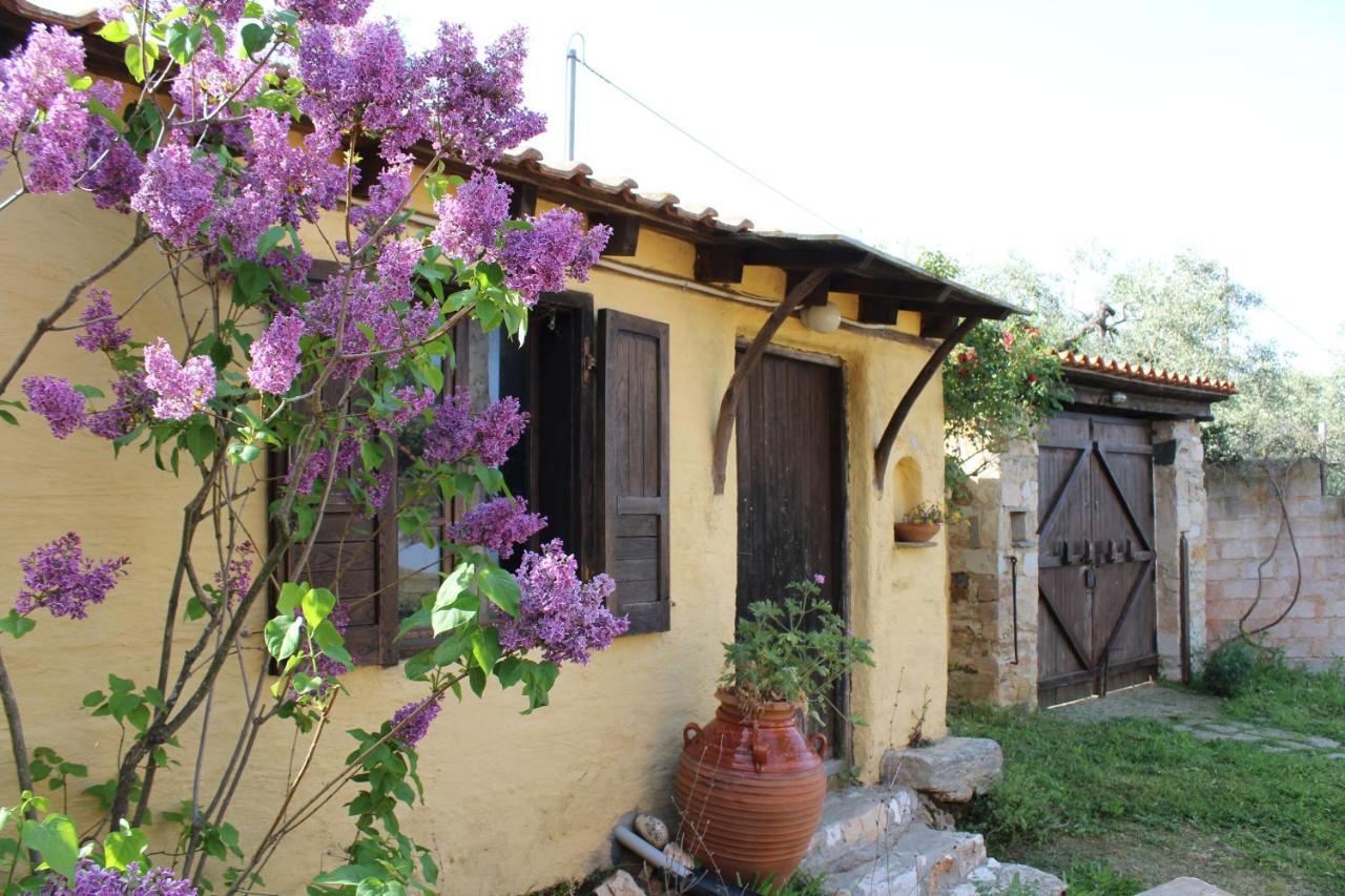 Varias Art House Kallirakhi Exterior photo